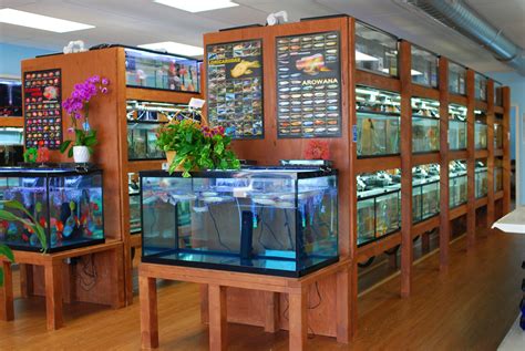 fish pet shop near me|Pete's Aquariums & Fish .